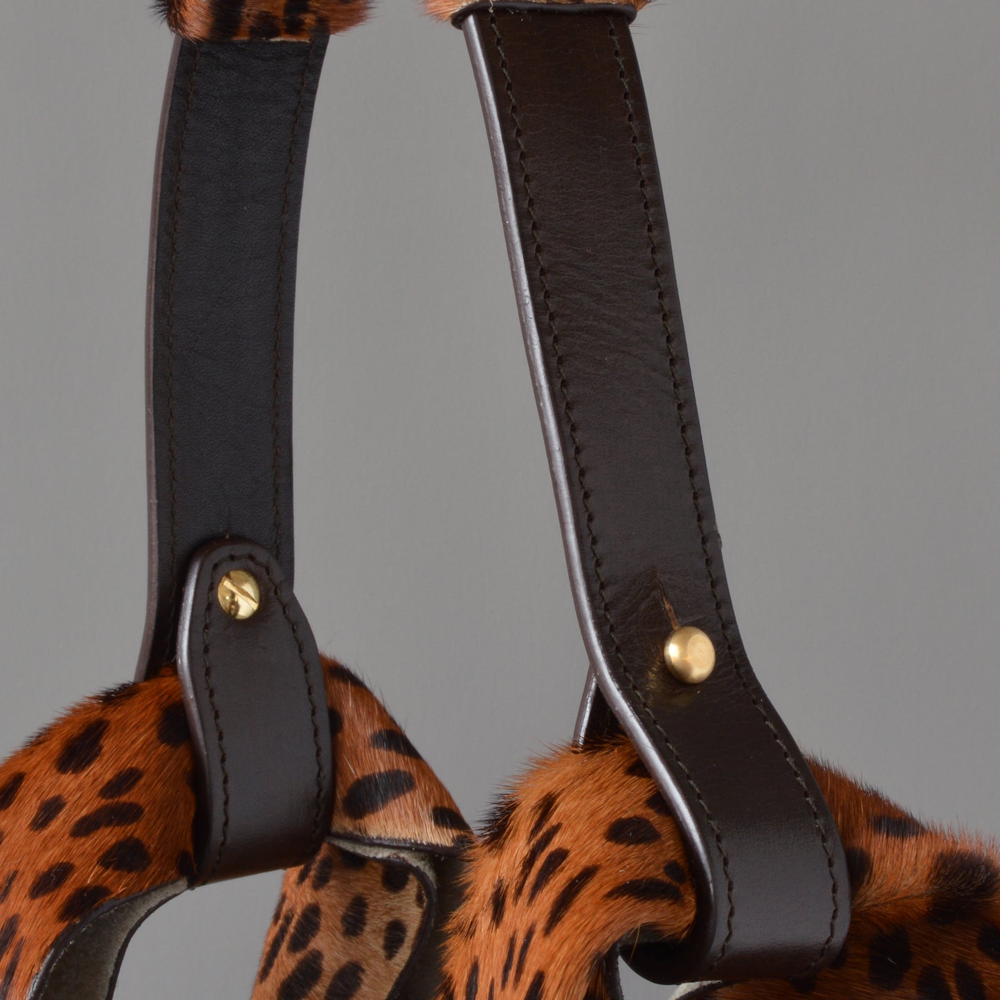 Bonnie Leopard